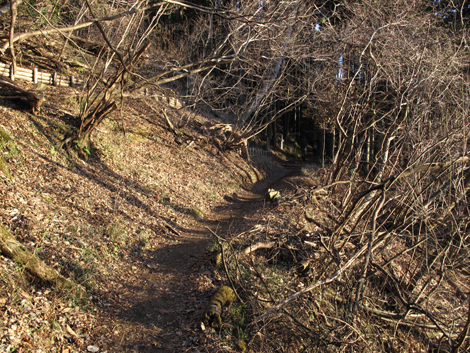 20170118hike (17)